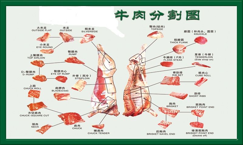 进口牛肉分割及各部位用法详解
